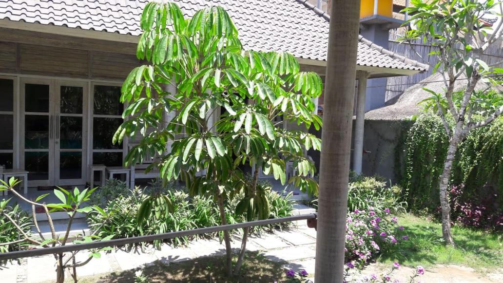 Hotel Vista Huts Lembongan Exterior foto